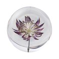 thumbnail image 4 of VONKY Resin Crystal Ball Enhancing Energy In Space Easily Portable Flower Crystal Ball Astrantia 8cm 5Set, 4 of 6