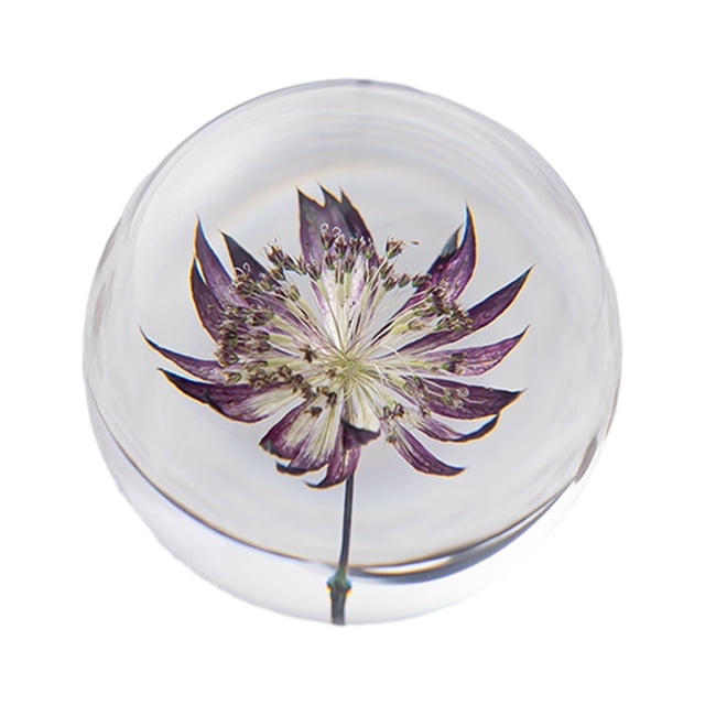 VONKY Resin Crystal Ball Enhancing Energy In Space Easily Portable Flower Crystal Ball Astrantia 8cm 2Set