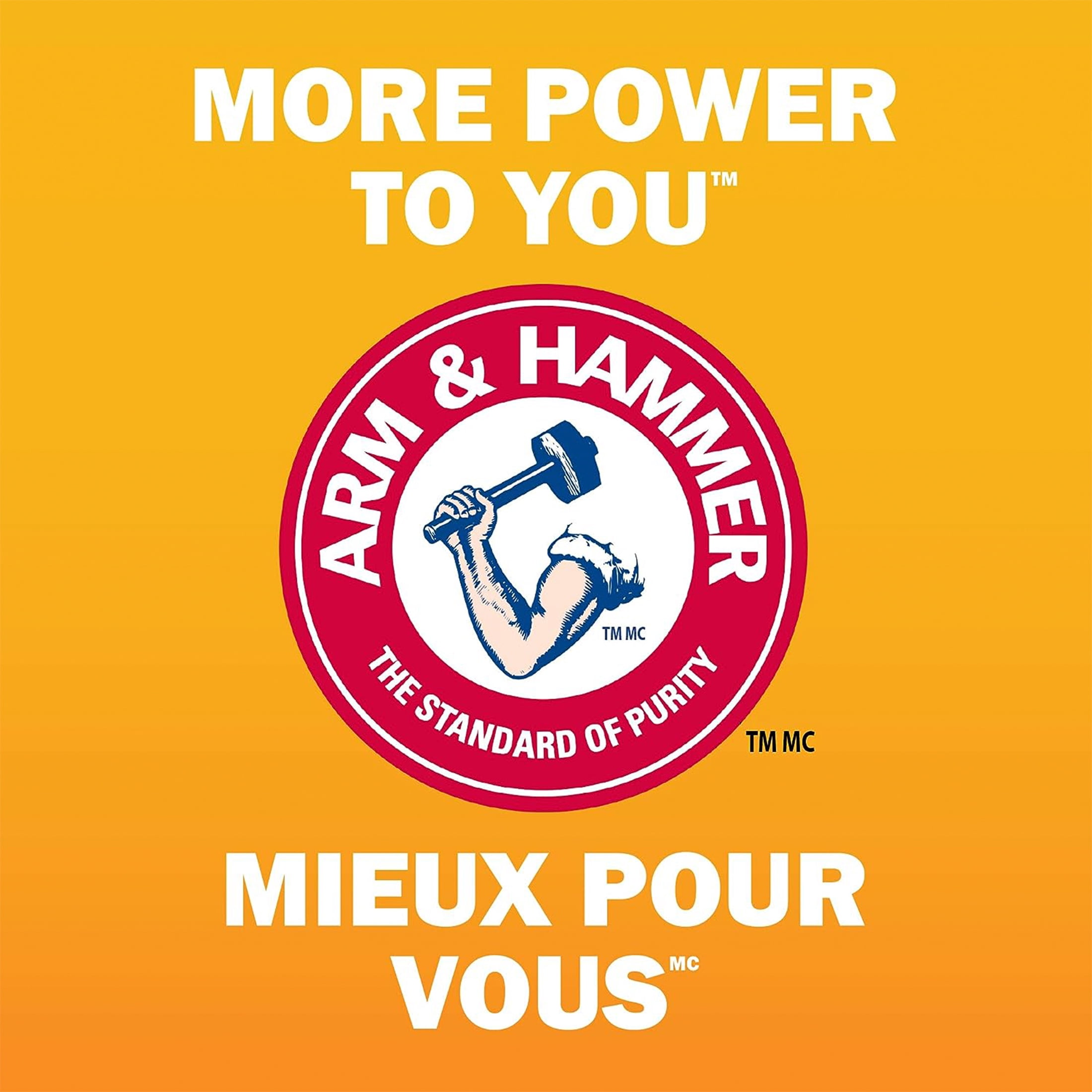 Bicarbonate de soude pur Arm & Hammer, Nettoyant multi-usages, désodorisant naturel et ingrédient essentiel pour la pâtisserie, 500g (1 paquet)
