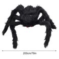 thumbnail image 1 of Rbaofujie Halloween Simulation Skull Big Spider 60cm Spider Ornament Halloween Spider Toy Decoration Halloween Spider Decorations Halloween Decorations, 1 of 2
