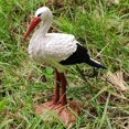 thumbnail image 3 of S SERENABLE Oiseau Animal Simulé Modèle Jouet Modèle Écologique - Grue, 3 of 7