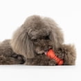 thumbnail image 4 of VIBRANT LIFE Grand/moyen/petit Distributeur de Gâteries Rouge, 4 of 8