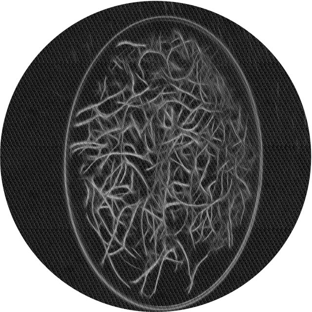 Ahgly Tapis Rond Lavable en Machine Intérieur Transitionnel Noir Nuit, 3 Pieds Rond