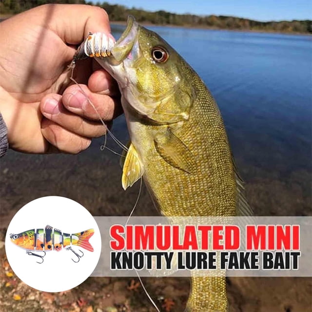 BKER Hameçon de Poisson 3D de Simulation Forme de Poisson Réaliste Fournitures de Pêche pour Lac Rivière pour Amateurs de Pêche Débutants