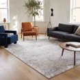 thumbnail image 3 of Rug Branch Atlas Scandinavian Indoor Area Rug, Grey Beige, Distressed - Living Room, Bedroom, Dining Room, and Kitchen, 3 of 8