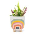 thumbnail image 2 of Rainbow Footed Planter, 2 of 4