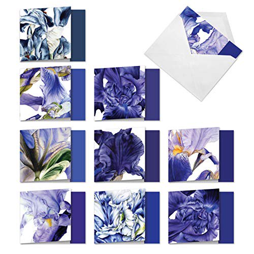 The Best Card Company - 10 Boxed Note Cards with Flowers - Blank Assorted Floral Notecards Bulk (4 x 5.12 Inch) - Iridescent Iris MQ4949OCB-B1x10