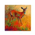 thumbnail image 2 of Doe by Marion Rose, 35x35-Inch Canvas Wall Art, 2 of 9