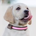 thumbnail image 1 of Dvkptbk Light Up Dog Collar, USB Rechargeable LED Pet Collars Waterproof Glowing Dog Collar for Small Medium Large Dogs Night Walking (Pink Large), 1 of 2