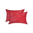 thumbnail image 1 of TORINO COWHIDE PILLOW 12"X20" 2-PACK, 1 of 1