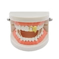 thumbnail image 2 of Tachiuwa 18K Gold Plated Single Teeth Canine Tooth Grill Hippy Rapper Men Jewelrys, 2 of 5