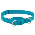 thumbnail image 1 of Lupine Martingale Dog Collar 1"" Wide Aqua adjusts 15"" to 22"", 1 of 4