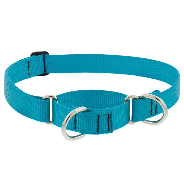Lupine Martingale Dog Collar 1"" Wide Aqua adjusts 15"" to 22""