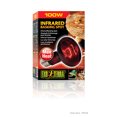 thumbnail image 1 of Ampoule à infrarouge Exo Terra pour lézarder, R25, 100 W, 1 of 6
