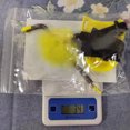 thumbnail image 4 of Agiferg New Pet Toys Spring Tease Cat Feather Stick Cat Interactive Toy Strap Holder, 4 of 4