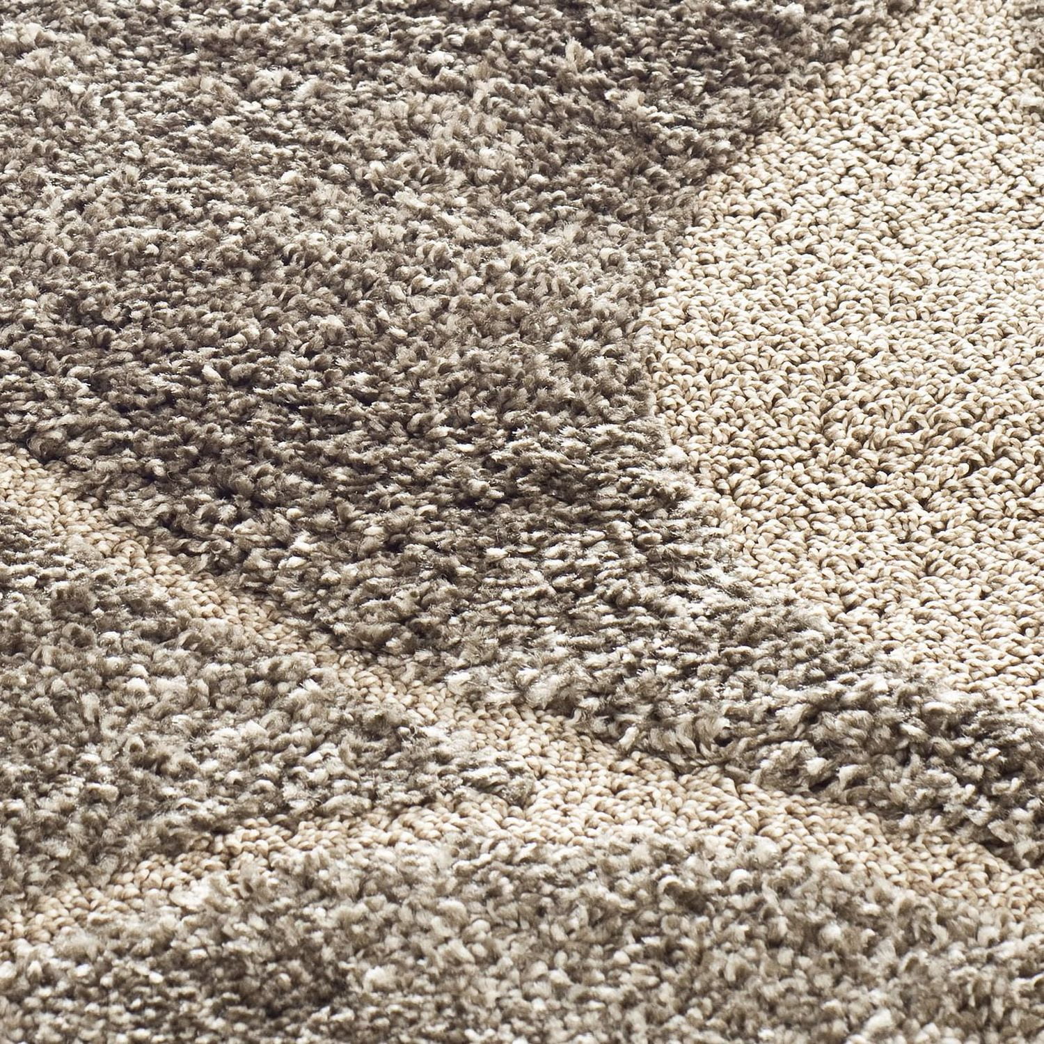 SAFAVIEH Florida Teodor Floral Shag Area Rug