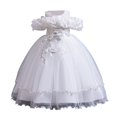thumbnail image 1 of Ashirexll Robe de Performance Sans Manches pour Filles Jupe Tutu en Maille Col Rond Robe Trapèze Formelle pour Hôte Fête Tenue de Danse Âge 3-14 Ans Blanc 3 Ans, 1 of 3