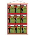 thumbnail image 4 of Tiger Woods - Conduire, 4 of 5