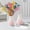 whitepink, variant on Ceramic Vase Plastic Vase Living Room Decoration Vase Hydroponic Vase Decoration