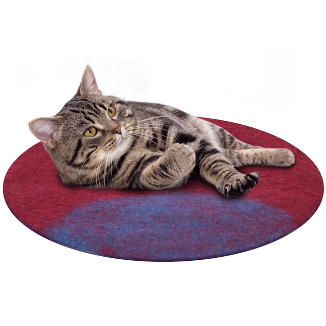 HAUSSIMPLE Cat Bed Mat Natural Merino Cozy Wool Large Carpet for Pet Cat Kitty Small Dog- Aqua Red