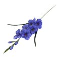 thumbnail image 4 of Artificial Gladiolus Flower Artificial Flower Wedding Flower with Stem for Party Blue, 4 of 9