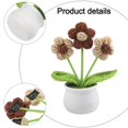 thumbnail image 3 of Bgsha Handwoven Wool Crochet Puff Flower Pot: A Timeless,Low-maintenance Home Decor!, 3 of 10