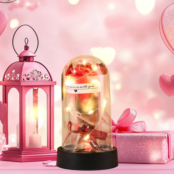 Real Preserved Rose in Gift Box with LED Light Forever Flower for Valentine Birthday Anniversary Natural Eternal Rose with I Love You 100 Languages Pendant Rom c Gift for Women Girlfriend Wife