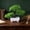 Green, variant on Roiihwy Artificial Bonsai Tree, Small Fake plants Decor, Artificial plants Indoor Outdoor for Home Decor, Living Room Bathroom Bookshelf Entryway Table Wall Shelf Modern Farmhouse Decor
