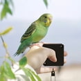 thumbnail image 3 of Hearth & Gear Parrot Leash Bird Leash Scalable Flight Training Rope For Budgies Psittacula Longicauda Mini With Rings (White Blak Foot Ring No. 6 No. 4 No. 5 No. 7) Dog Camping Accessories Protective, 3 of 3