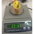 thumbnail image 5 of RKSTN Fall Decorations for Home Chicks The Furry Chicks At Easter Stand On The Table Of The Moss Garden 2PC Decorations, 5 of 5