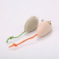 thumbnail image 4 of 2 Pcs Jouet pour Chat Souris Résistant aux Morsures Peluche Simulée Jouet à Mâcher pour Chat Jouet d'Entraînement pour Chat, 4 of 10