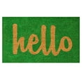 thumbnail image 1 of Accueil & amp; Plus 100262436GNS Bonjour Vert / Naturel Script Paillasson 24 Pouces X 36 Pouces, 1 of 4