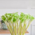 thumbnail image 3 of Artificial SNAIL GARDEN Latex Calla Lily Bundle with Green Leaves, 3 of 11