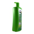 thumbnail image 3 of Equate Revitalisation Équilibrée 2 en 1 Shampooing et Revitalisant, 3 of 3