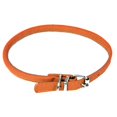 thumbnail image 1 of Dogline L1003-4 13-16 L x 0,33 Po L. Collier Rond en Cuir, Orange, 1 of 1