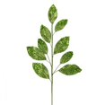 thumbnail image 1 of Vickerman QG191873 29 in. Lime Glitter Leaf Spray - 6 per Bag, 1 of 1
