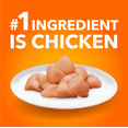 thumbnail image 4 of Iams Proactive Health Intérieur Gestion du Poids & Boules de Poils au Poulet & à la Dinde Nourriture Sèche pour Chats Adultes 1.6kg, 4 of 15