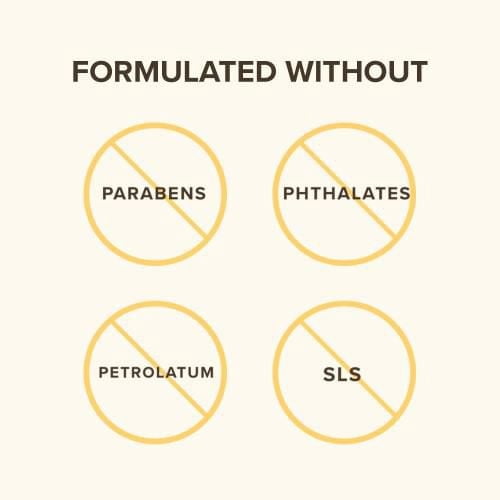 Baume hydratant pour les lèvres d’origine naturelle à 100 % la pastèque de Burt’s Bees®,