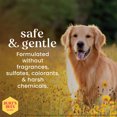 thumbnail image 4 of Burt's Bee Lotion pour Pattes et Nez pour Chiens 4oz, 4 of 7