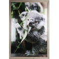 thumbnail image 1 of Hometrends Classified Perfection Poster Frame, 1 of 4
