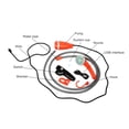 thumbnail image 2 of Outdoor Portable Camping Shower Kit with 2.5-3.5L/min Water Discharge 2m, 2 of 7