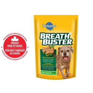 PEDIGREE Breathbuster Dog Treats, Dog Breath Freshener, Crunchy Biscuits with Eucalyptus Oil and Parsley, Small Breed Adult Dogs, 500g Pouch