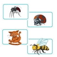 thumbnail image 3 of Concept Kids: Animals – Cooperative Guessing Game for Kids – English Edition – Ages 4+, by Asmodee / Repos Production, 3 of 6