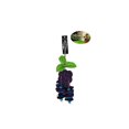 thumbnail image 4 of Penn-Plax Brochette De Fruits, 4 of 4