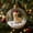 F F, variante sur ABPWLY Boule de Neige de Noël Animal Ornement Verre Miniature Chapeau du Père Noël Forêt Hibou Raton Laveur Paresseux Bétail Capybara Pingouin Suspendu Arbre Fête Festive Cadeau pour Amateur d'Animaux de Compagnie Scène de Neige Mini de Table de Collection