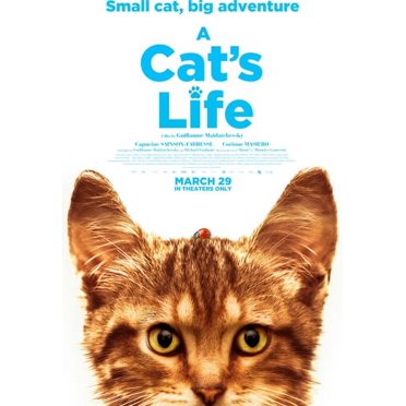 la Vie du Chat