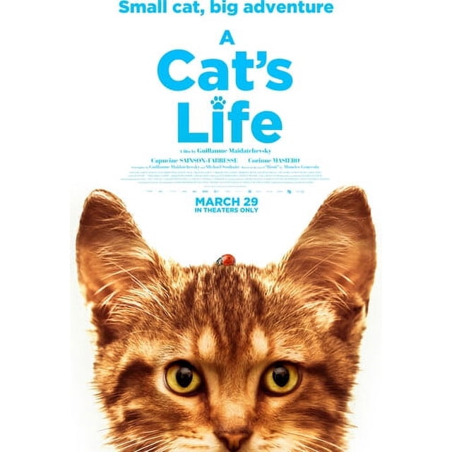 la Vie du Chat