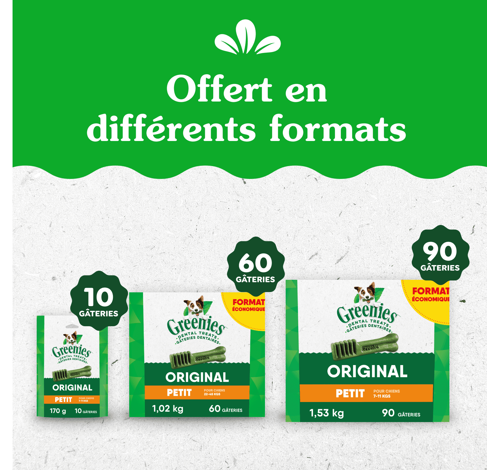 Gâteries dentaires naturelles pour chiens adultes Greenies Original PETIT format