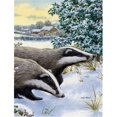 thumbnail image 1 of Carolines Treasures ASA2041GF Badgers Two Of A Kind Flag Garden Size, 1 of 3