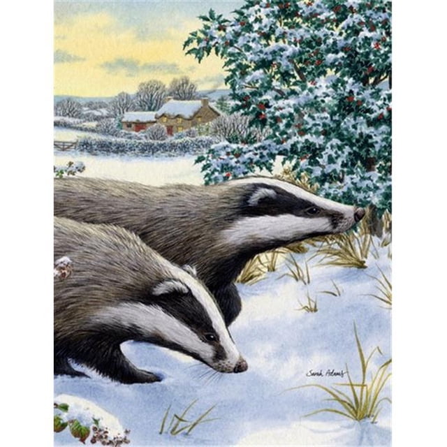 Carolines Treasures ASA2041GF Badgers Two Of A Kind Flag Garden Size
